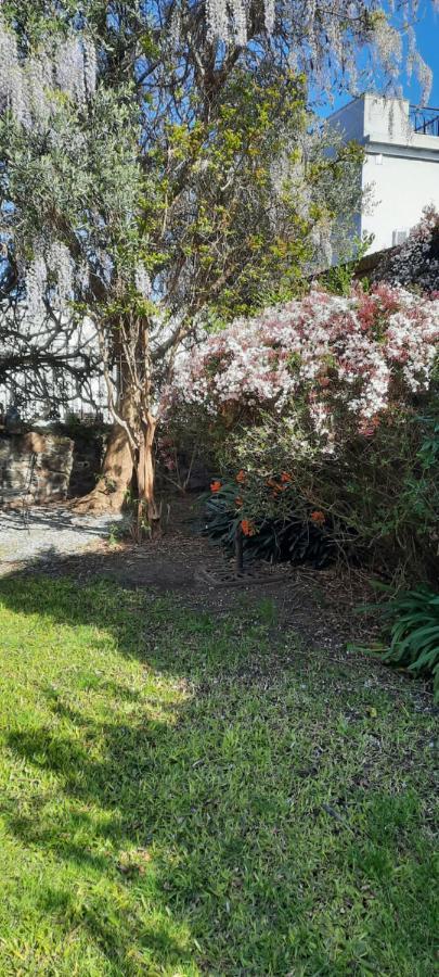 Casa En Barrio Historico Βίλα Κολονία ντε Σακραμεντο Εξωτερικό φωτογραφία