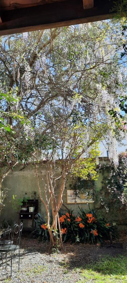 Casa En Barrio Historico Βίλα Κολονία ντε Σακραμεντο Εξωτερικό φωτογραφία